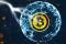 Lightning Network spašava Bitcoin!