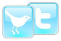 Twitter pokrenuo prvi način sopstvene monetarizacije, platformu za oglašavanje pod nazivom Promoted Tweets