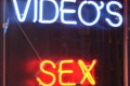 Zloglasna hakerska grupa LulzSec objavila lozinke 26.000 korisnika porno sajtova